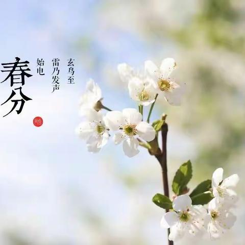 【全环境立德树人】———“‘幼’遇春分🍀‘童’享春意”🌸山东工商学院幼儿园中二班传统节日节气活动