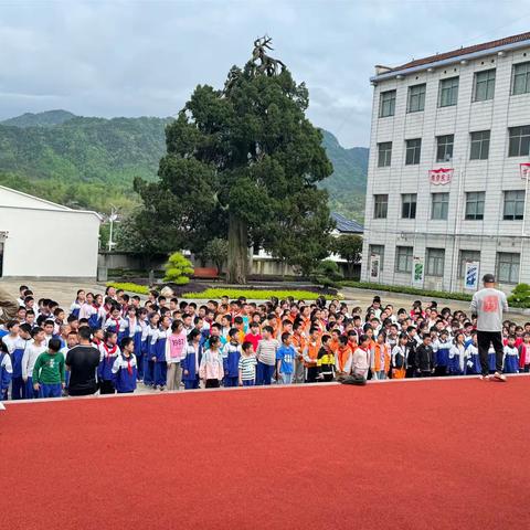 “研”途皆风景，“学”中见天地—白马石校区六西冲小学赴英山县中小学综合实践基地开展研学活动