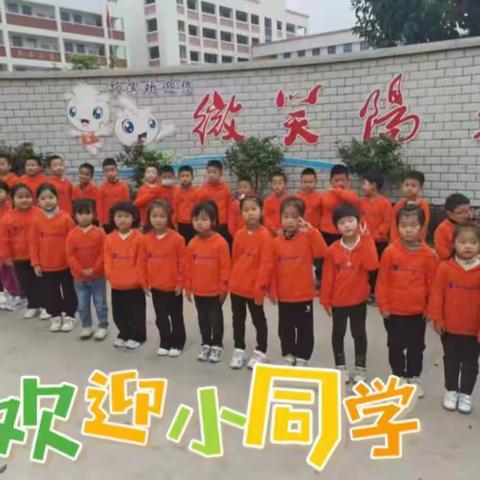 幼儿进校园 衔接共成长————颍滨小学附属园幼小衔接系列活动之大班幼儿走进小学