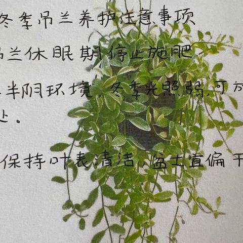 劳动创造美好生活     莒南七中八年级劳动课成果展
