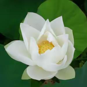 八年级日常工作快报2.7
