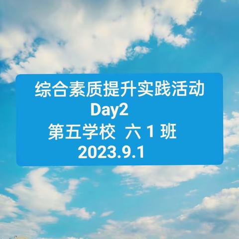 综合素质提升实践活动 Day 2