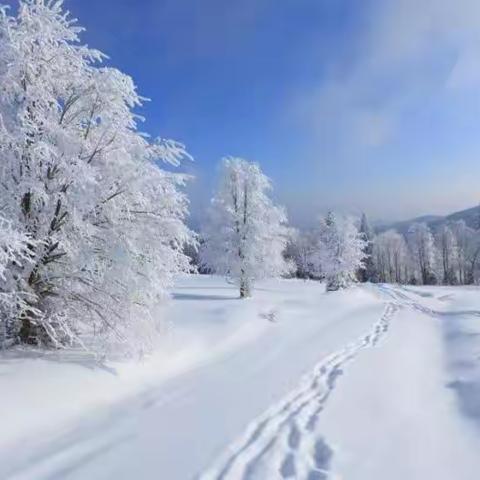 闻雪而动，踏雪而行