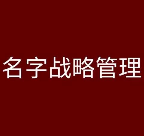 名字赢：名字战略管理——中国企业家的战略盲区（三）