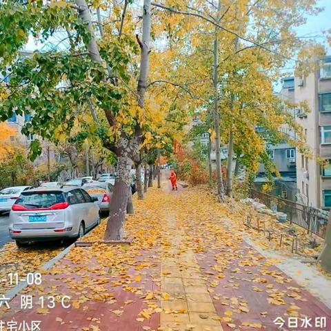清落叶 迎冰雪|侨银冬季作业“攻坚战”