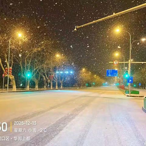 铲雪除冰保出行 侨银力量在行动