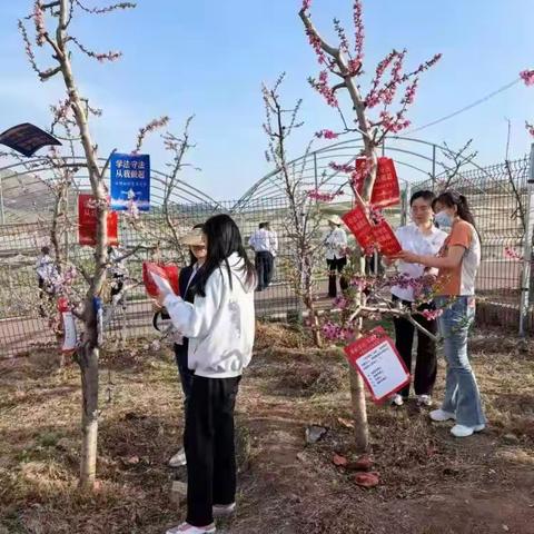 法治宣传与五海庄园有个春天的“约会”— 迁西县法治宣传进景区