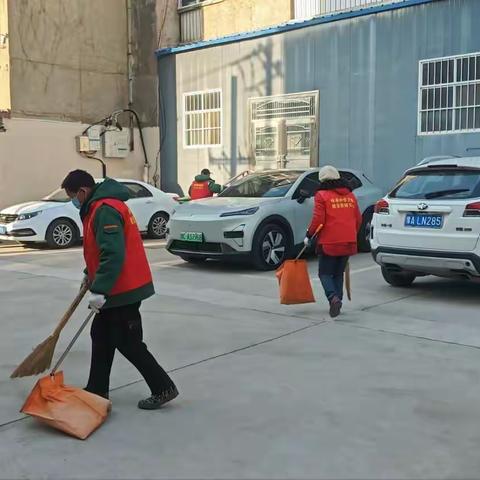 清洁家园除隐患  党员服务暖人心