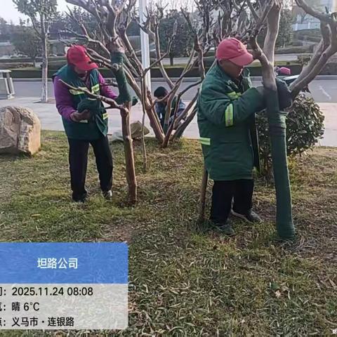 冬日守护，静待春归——园林中心冬季防冻防虫进行时
