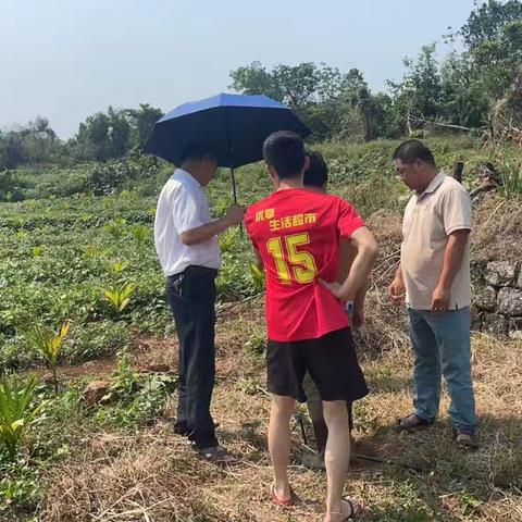 网格调解化干戈——龙塘社区“人在格中走、事在格中办”守护邻里和谐