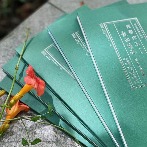 讲好新时代郑国渠故事：《泾阳碑石之七龙洞渠记》正式出版