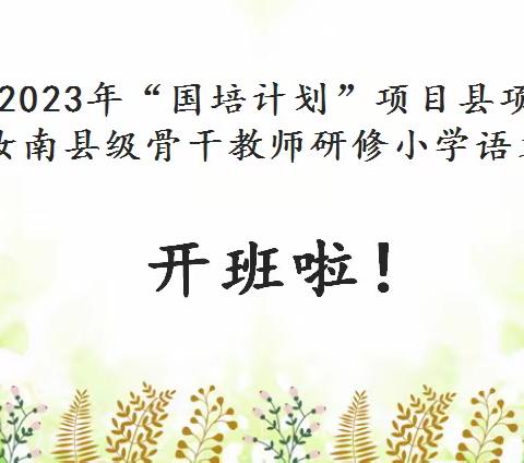 国培研修促提升，励学同行共成长——2023“国培计划”项目汝南县小学语文骨干教师研修活动纪实