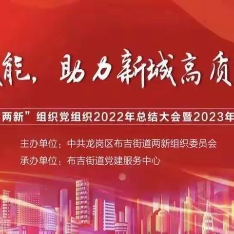 布吉街道“两新”组织党组织2022年总结大会暨2023年工作部署会【2023年3月15日】