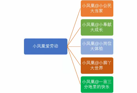 “5•1”劳动教育体系  培养爱劳动小凤凰——凤凰路小学劳动教育实施