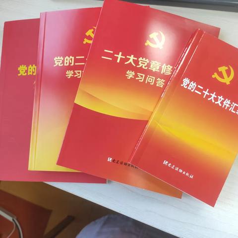 新生儿二科党支部12月主题党日活动:深入学习党的二十大精神