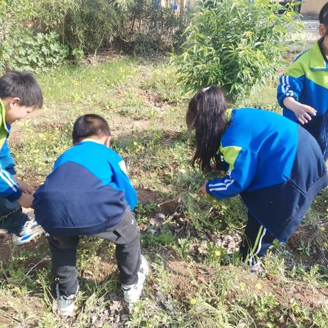 【关爱学生，健康成长】—— 河东堡小学“五一”劳动汇展