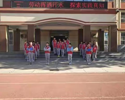 劳动挥洒汗水，探索实践真知——石家庄市中华绿园小学劳动节实践活动