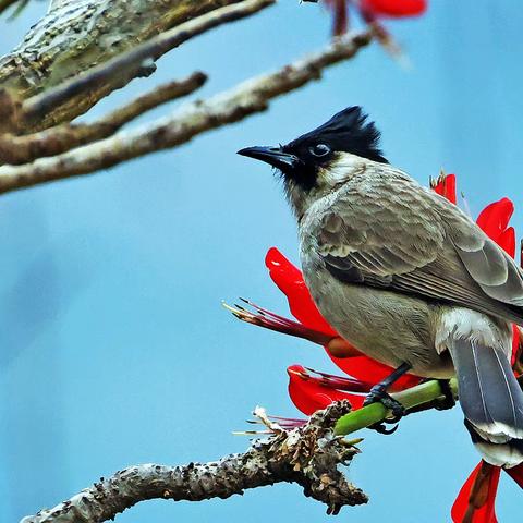 20250108~15  西昌-攀枝花-西昌游-行程篇