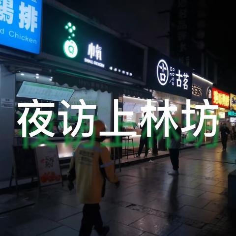 夜访上林坊