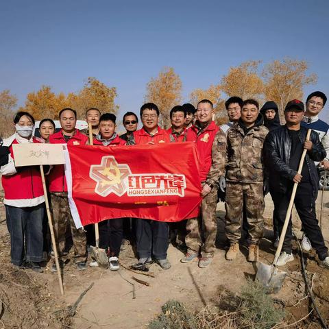 初冬好时节 植树正当时——巴州分公司开展冬季植树活动