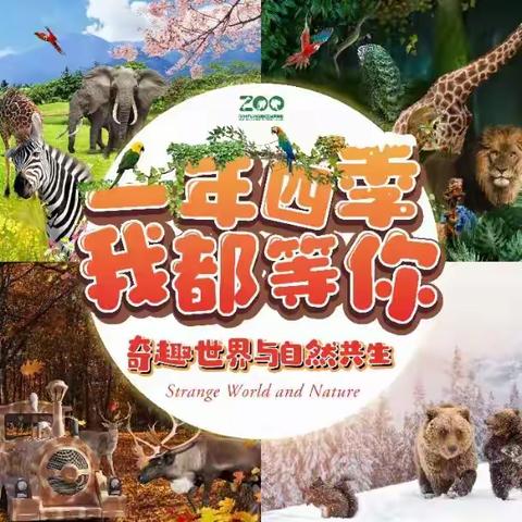 学在旅途•乐在其中——徐州九顶山野生动物园研学游