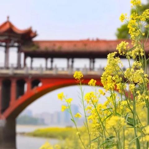 最美人间四月天，不负春光与时行