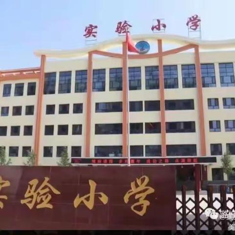 五育并举精彩纷呈  “和美”之花美丽绽放——潞城区实验小学考查科目测评侧记