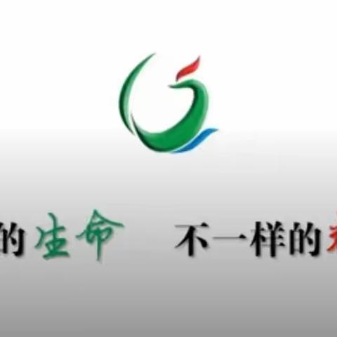 涪陵十五中2024级13班劳动实践活动