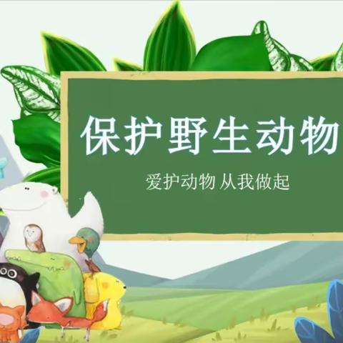 【阳光下的故事】保护野生动物从小抓起！——沙县区实验小学一（5）班家长进校园活动