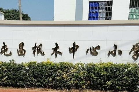 学习新课标——枫木中心小学第15周教研课活动