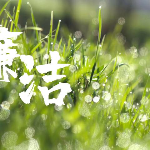 “讲廉洁故事，扬清风正气”——人文教育学院廉洁文化建设活动短视频