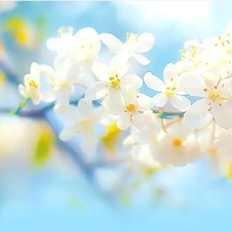 创建全国文明城市 营造洁净美丽博城