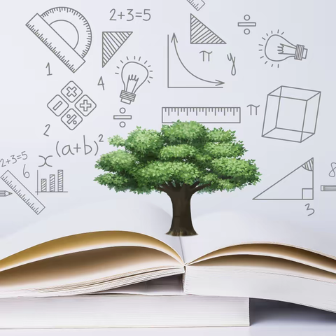 蒲州育英十佳家庭种植角参评作品 《呦呦 一角》二（4）班 倪若宸