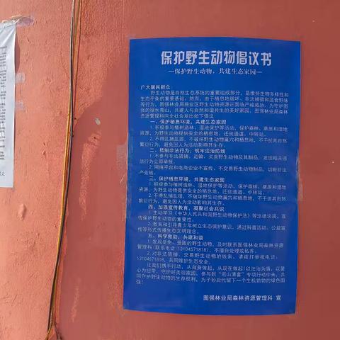 守护山林，为野生动物在兴安林区保驾护航！