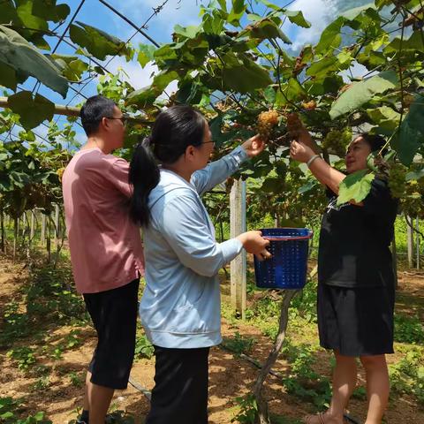 放心食用！我县开展夏季水果农残监测