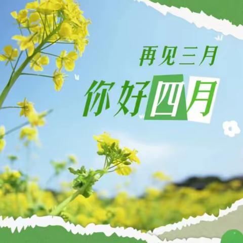 名邦•西城国际2024年3月月报