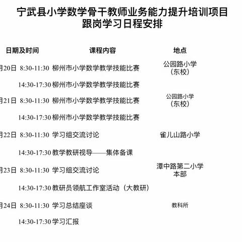 理论为帆，实践为船——宁武县西关小学数学教师业务能力提升培训柳州跟岗培训