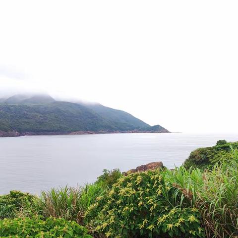 雨中即景