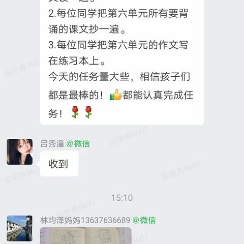 南新小学六年级线上教学工作