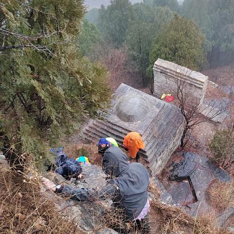 细雨黄花山