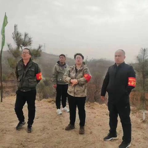 荫城镇环境污染、环境卫生“双整治”暨垃圾、污水“双收处”工作动态