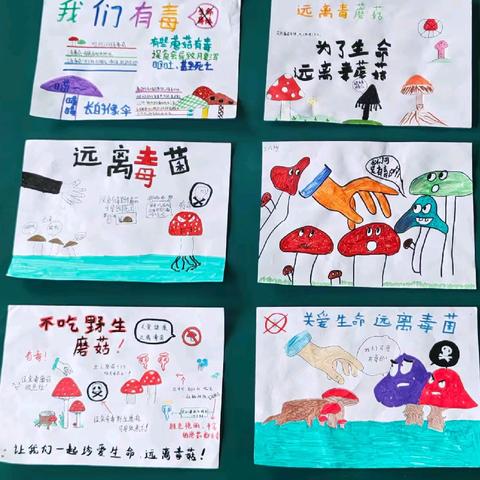 探索真菌奥秘，筑牢识毒防线——记五年级科学课特别活动