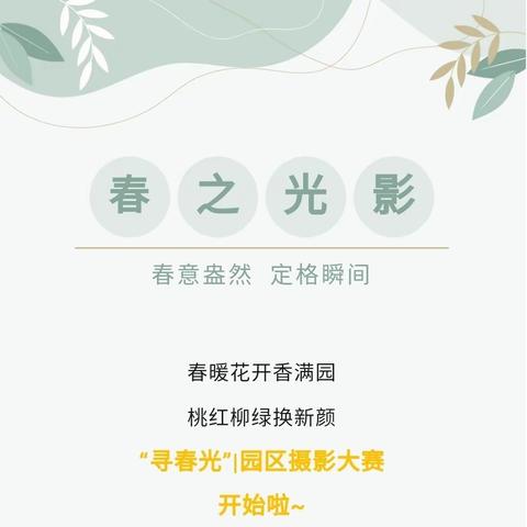 寻春光|园区摄影大赛初赛投票啦！