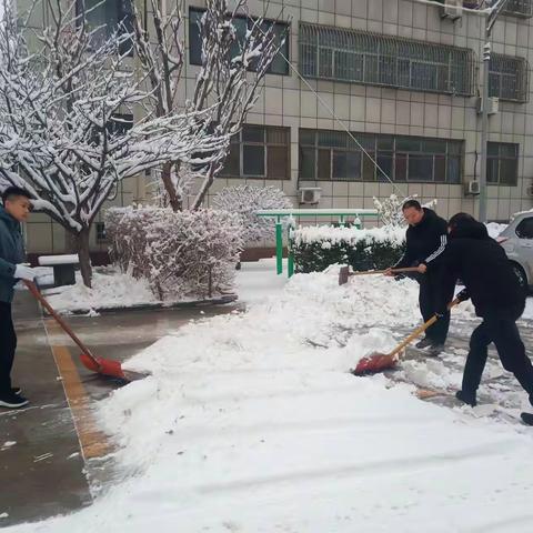 【门前五包】以雪为令 迎雪而行！济北街道全力以赴除雪保通畅