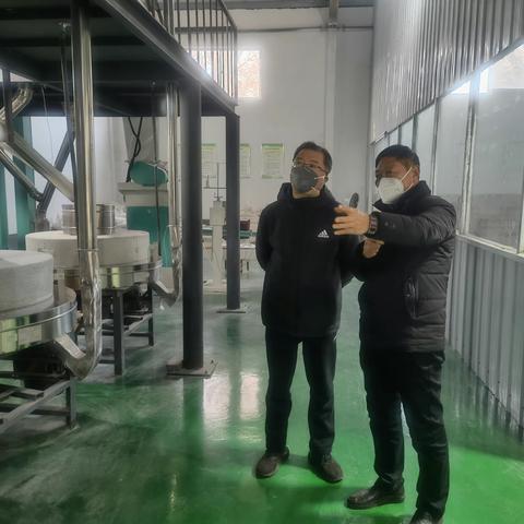 区领导刘红选实地调研彩色小麦生产基地项目