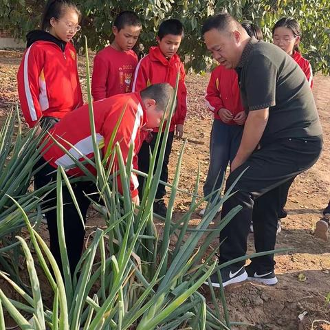 🧑‍🌾劳动砺心志，实践促成长🧑‍🌾