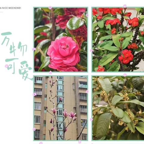 物业月报｜欧景帝苑物业服务中心3🈷️工作月报