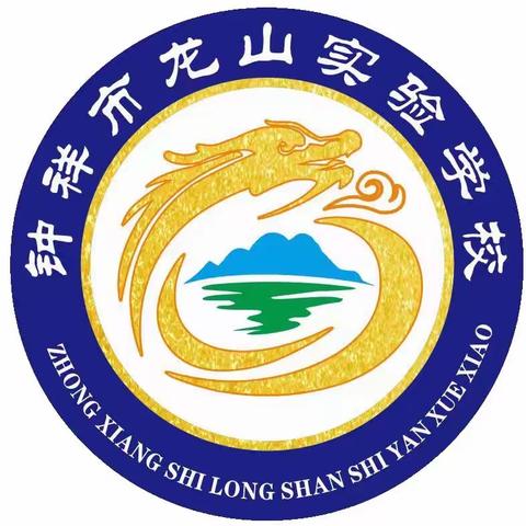 龙山实验学校团总支青年学生讲团课