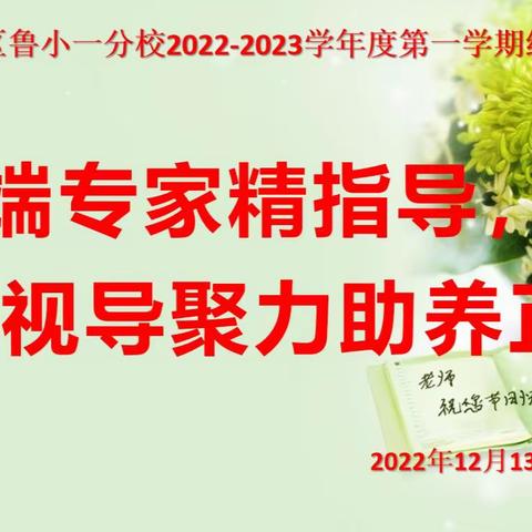 云端专家精指导，视导聚力助养正——鲁小一分校迎接区教科院线上视导