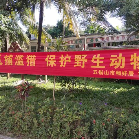 畅好居关于开展2023年清风行动工作